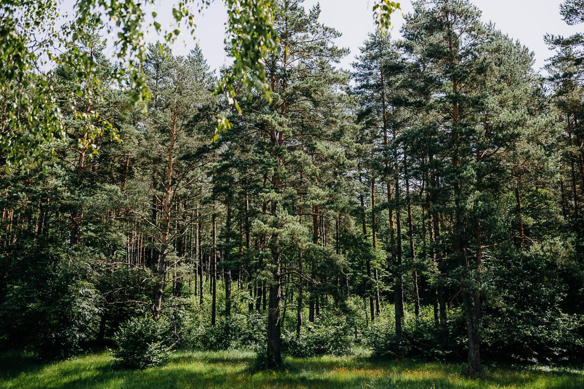 Mysliwska Na Skraju Lasu Holiday home Wojtkowa
